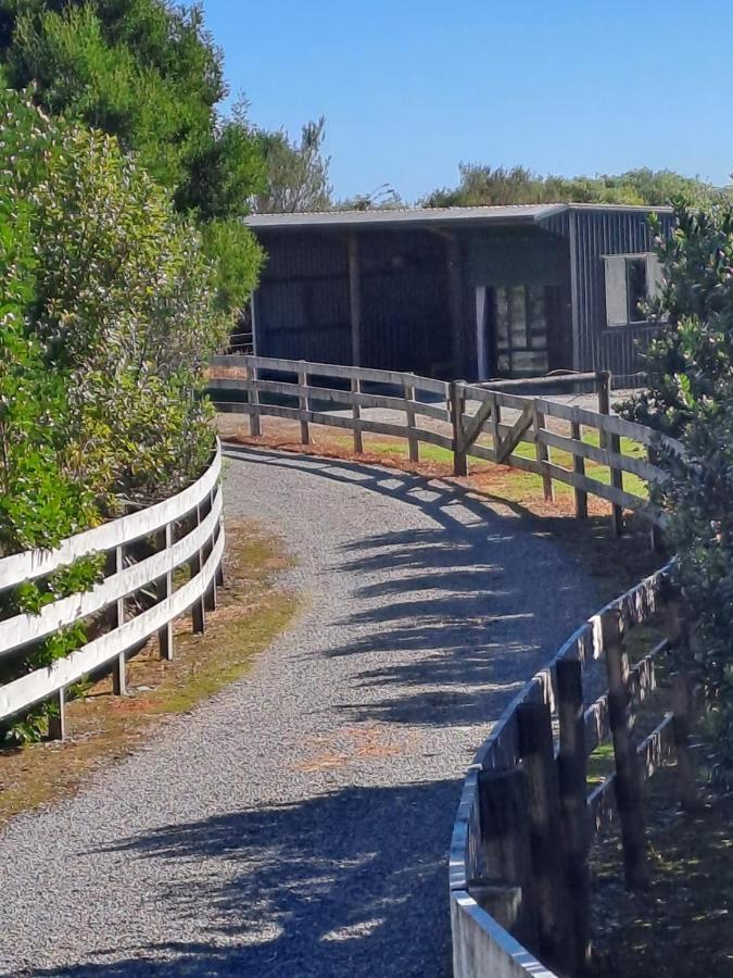 Koru Beachfront Holiday Cabins & Hot Tub Barrytown Eksteriør billede